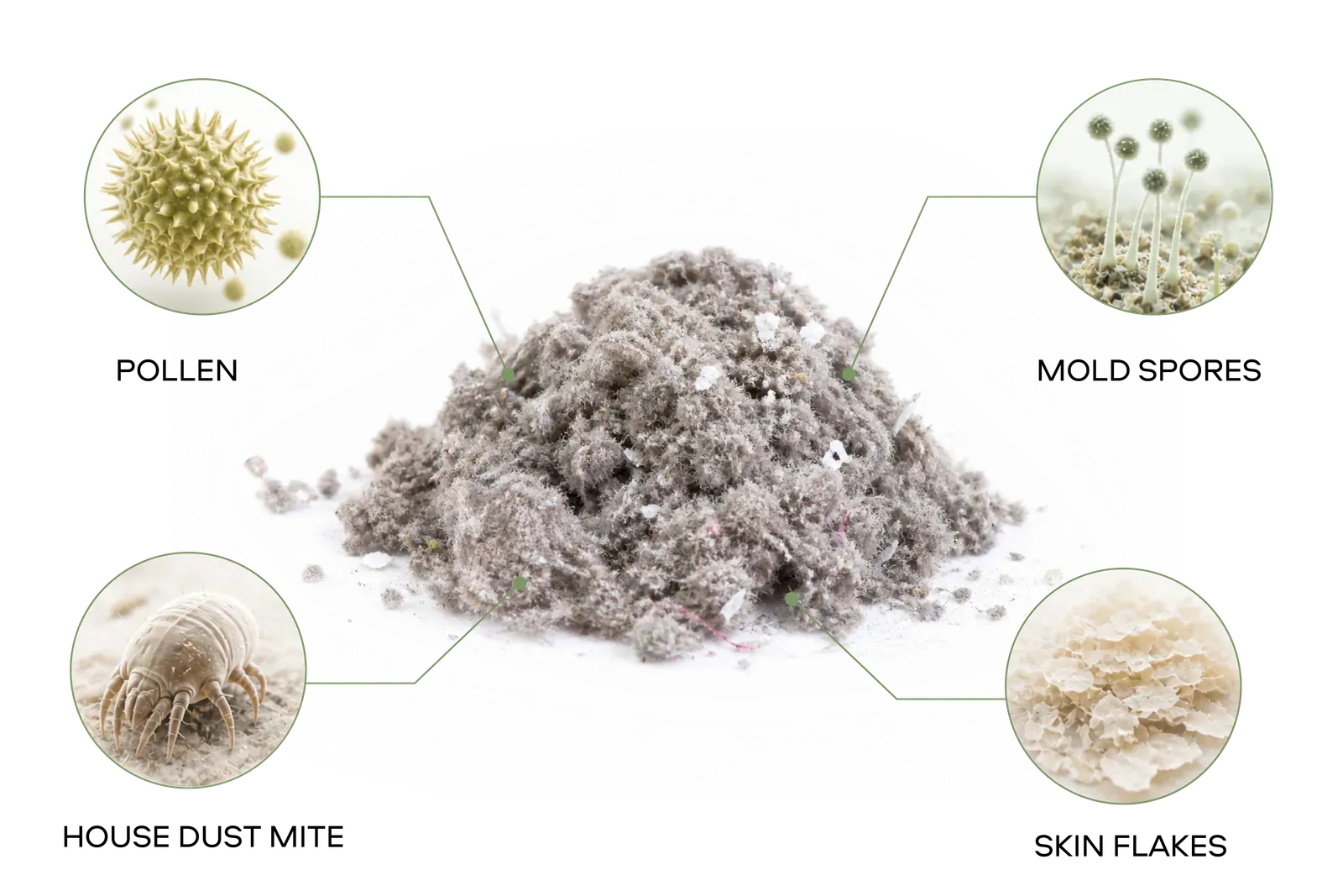 Radial diagram of house-dust composition: pet allergens, fabric fibers, pollen, food residues, skin epithelium, fungus and spores, lint and feathers