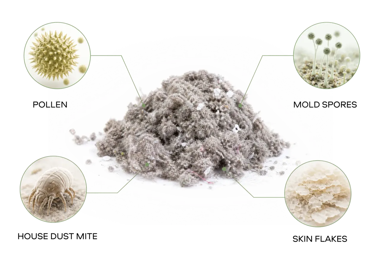 Radial diagram of house-dust composition: pet allergens, fabric fibers, pollen, food residues, skin epithelium, fungus and spores, lint and feathers