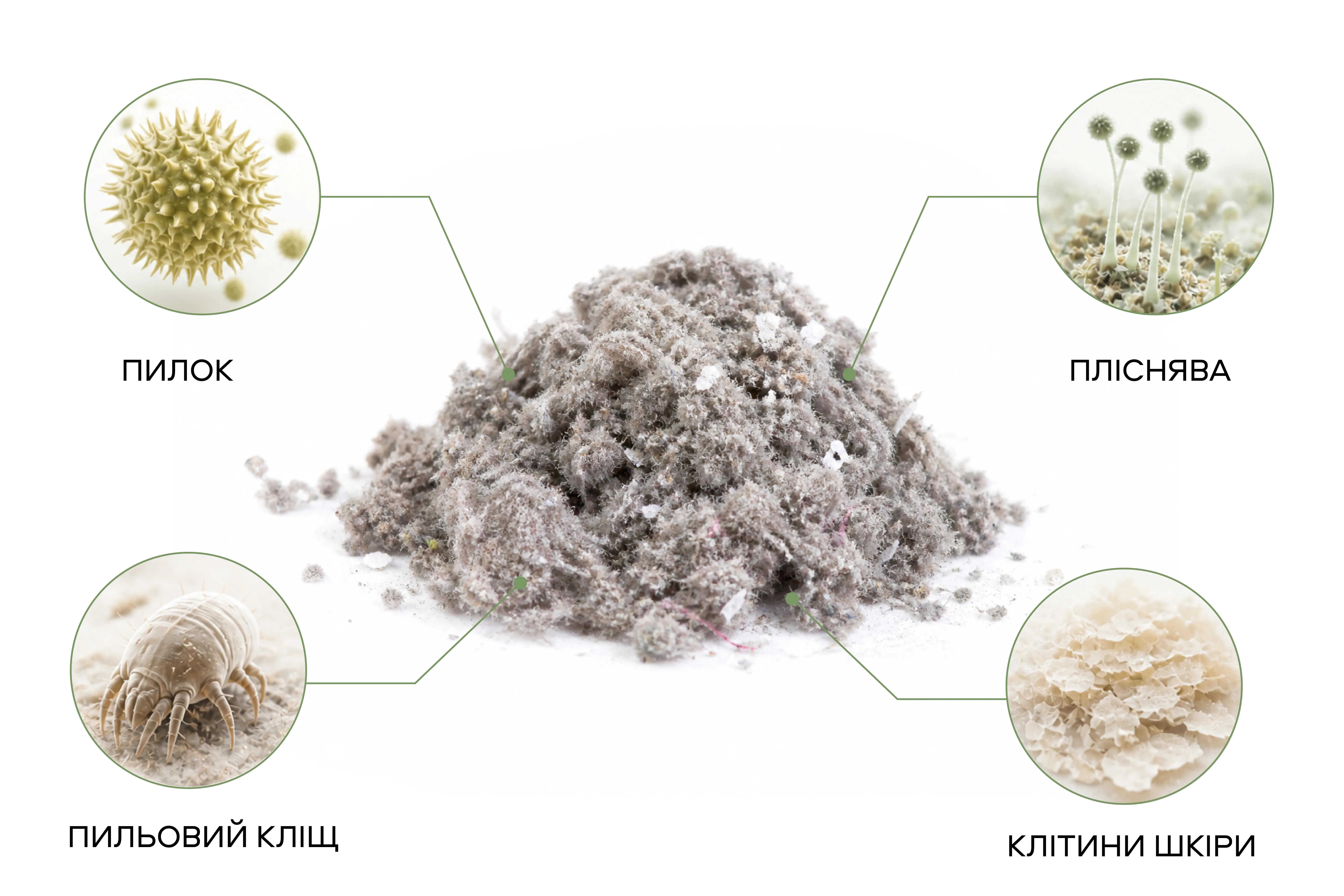Radial diagram of house-dust composition: pet allergens, fabric fibers, pollen, food residues, skin epithelium, fungus and spores, lint and feathers